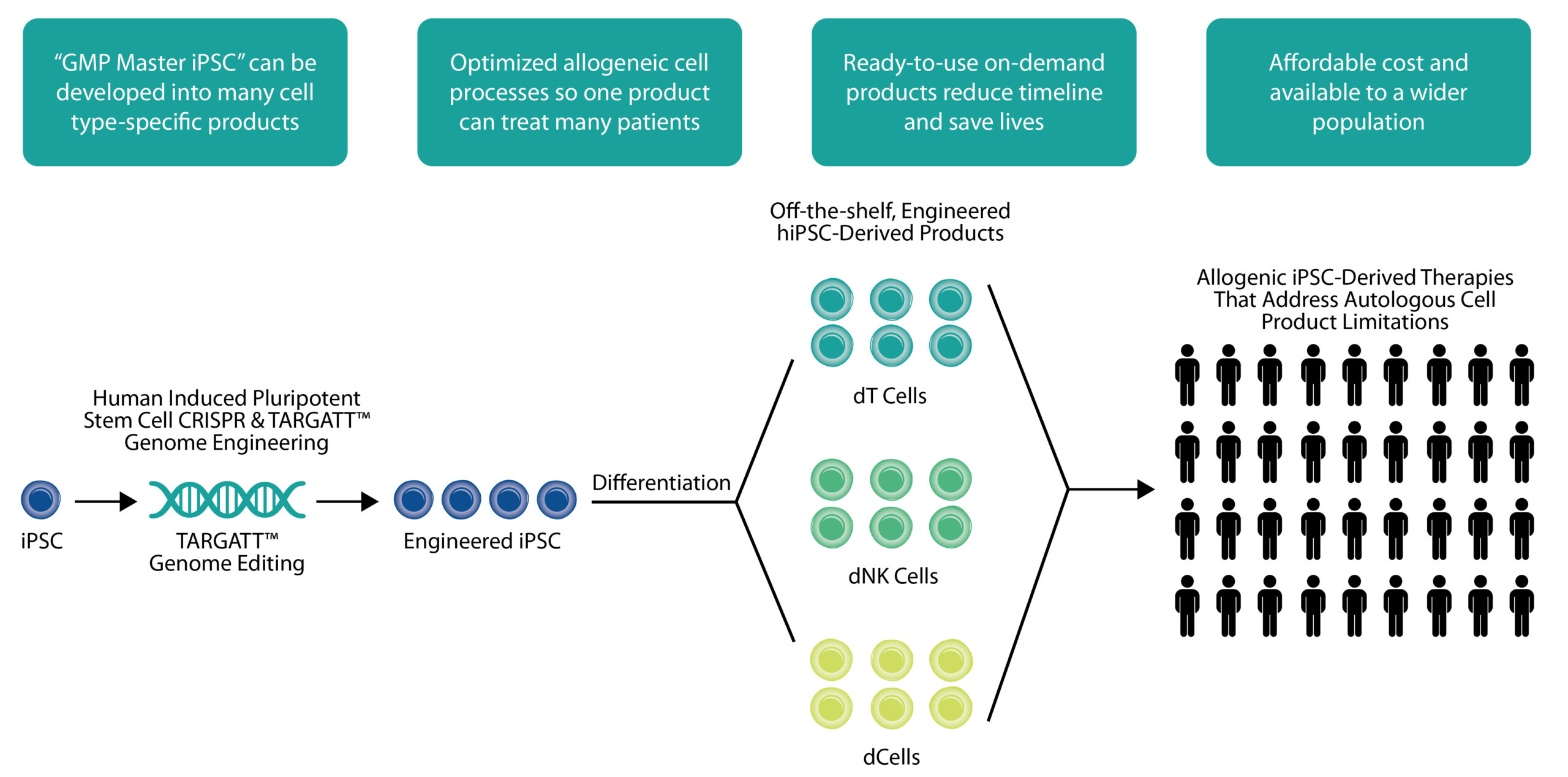 asc_gmp_ipsc_platform