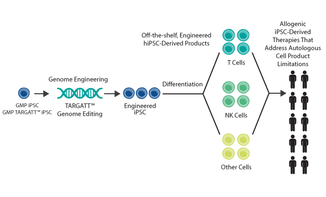 Gene Editing Expertise