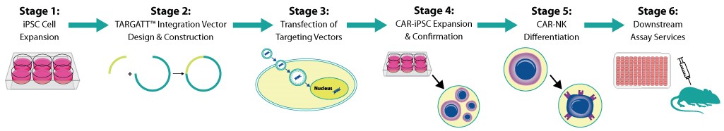 ipsc-service