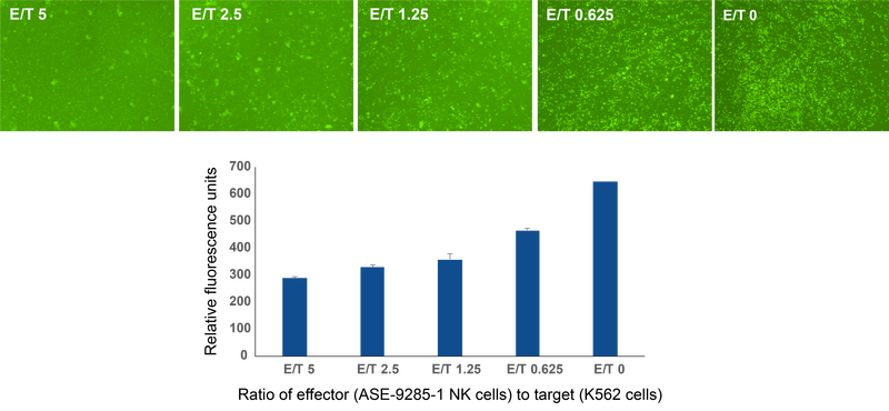 ASE-9285-1 function