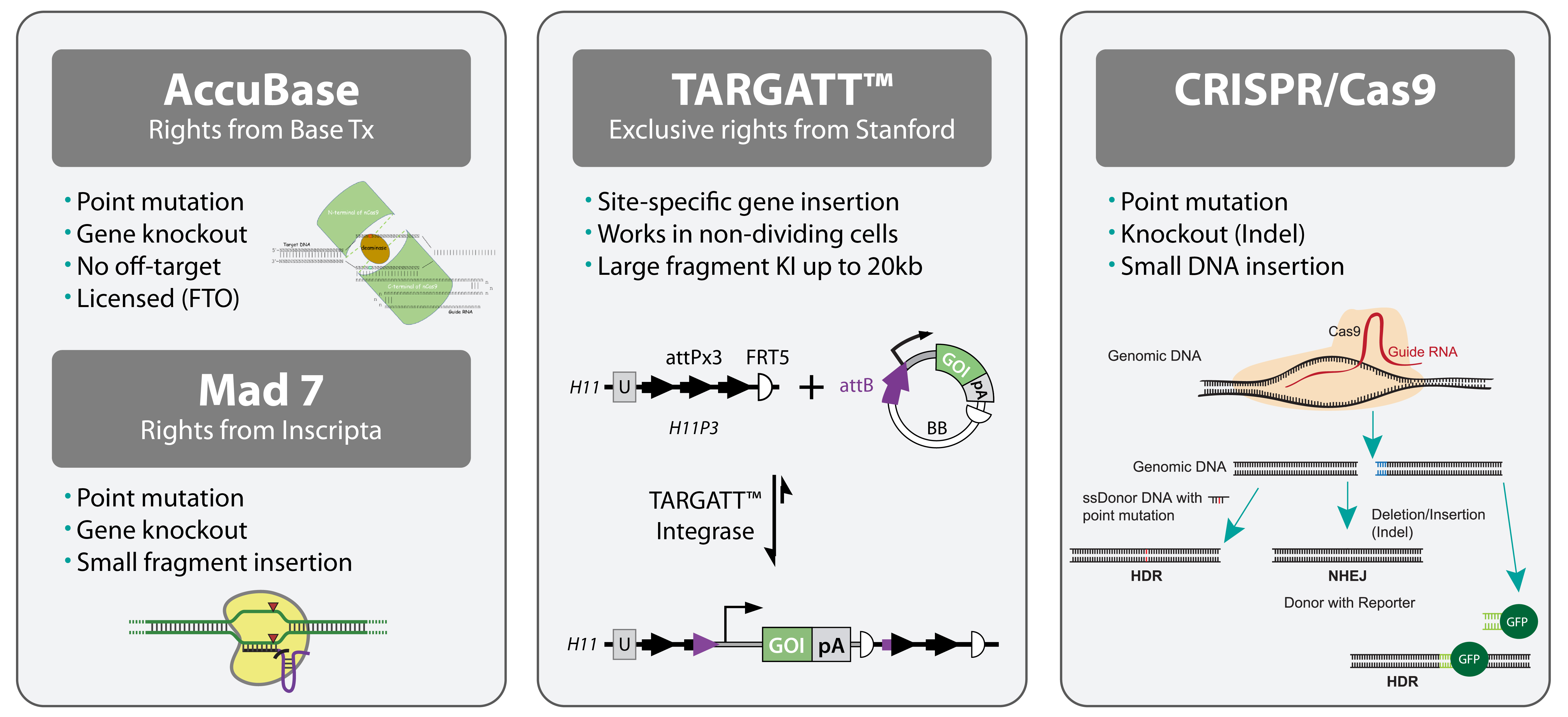 Gene Editing Platform | ASC