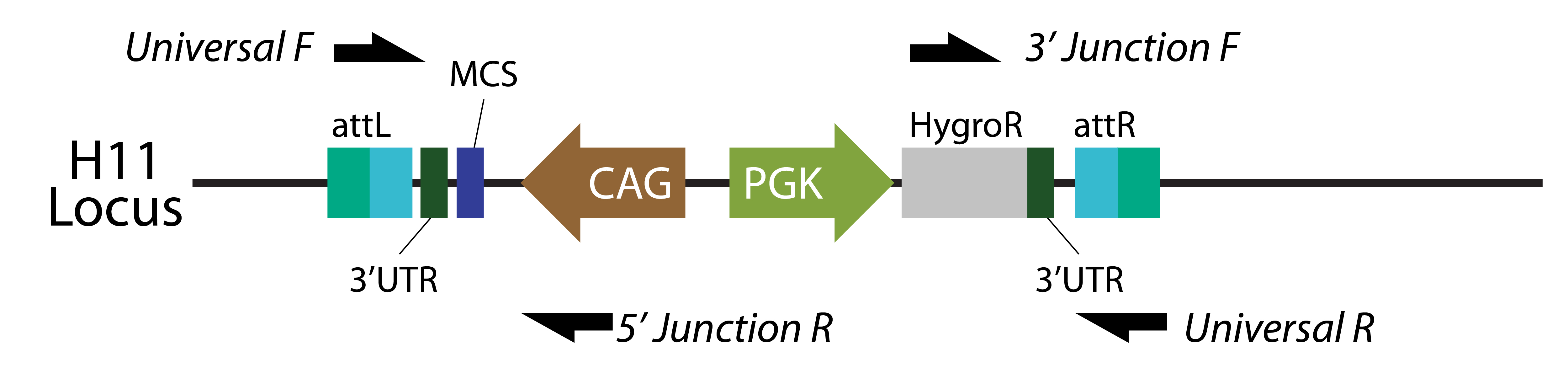 Schematic | ASC