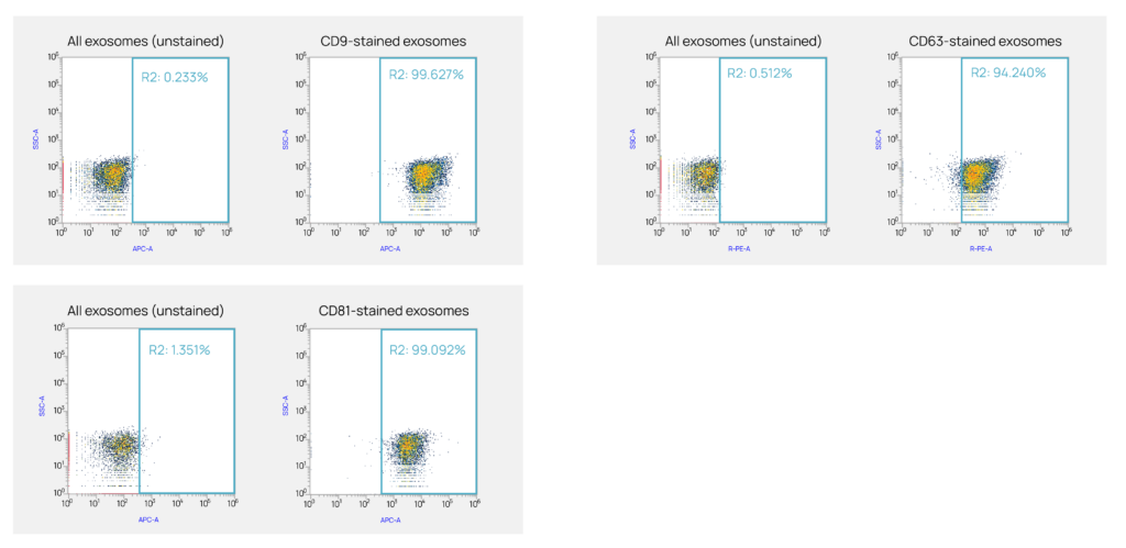 Flow cytometry plots showing pairs of stained and unstained exosomes