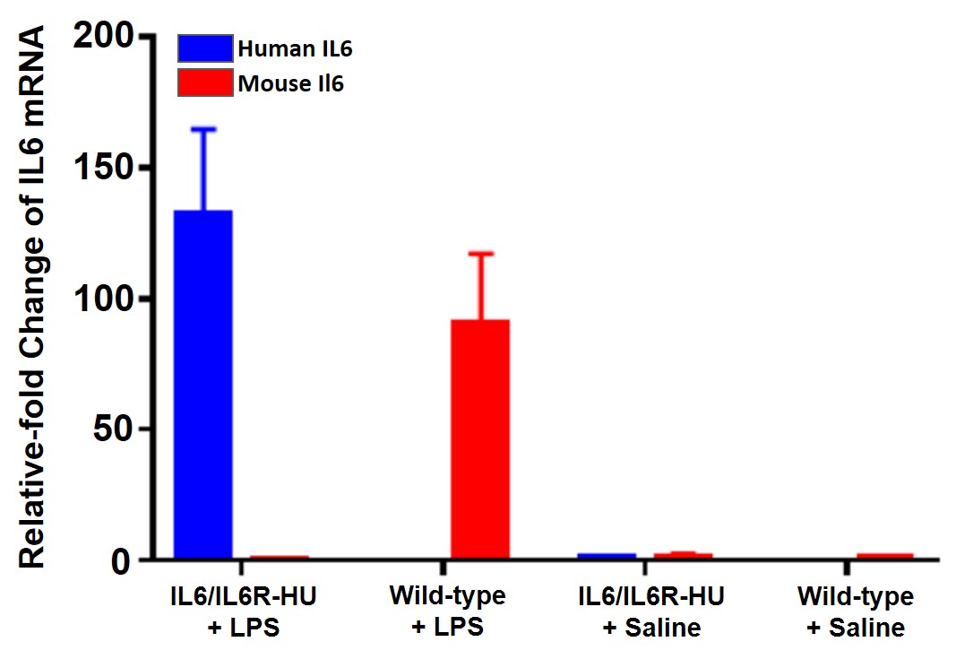 appnote-animalmodel-mouserepository-cytokine-1