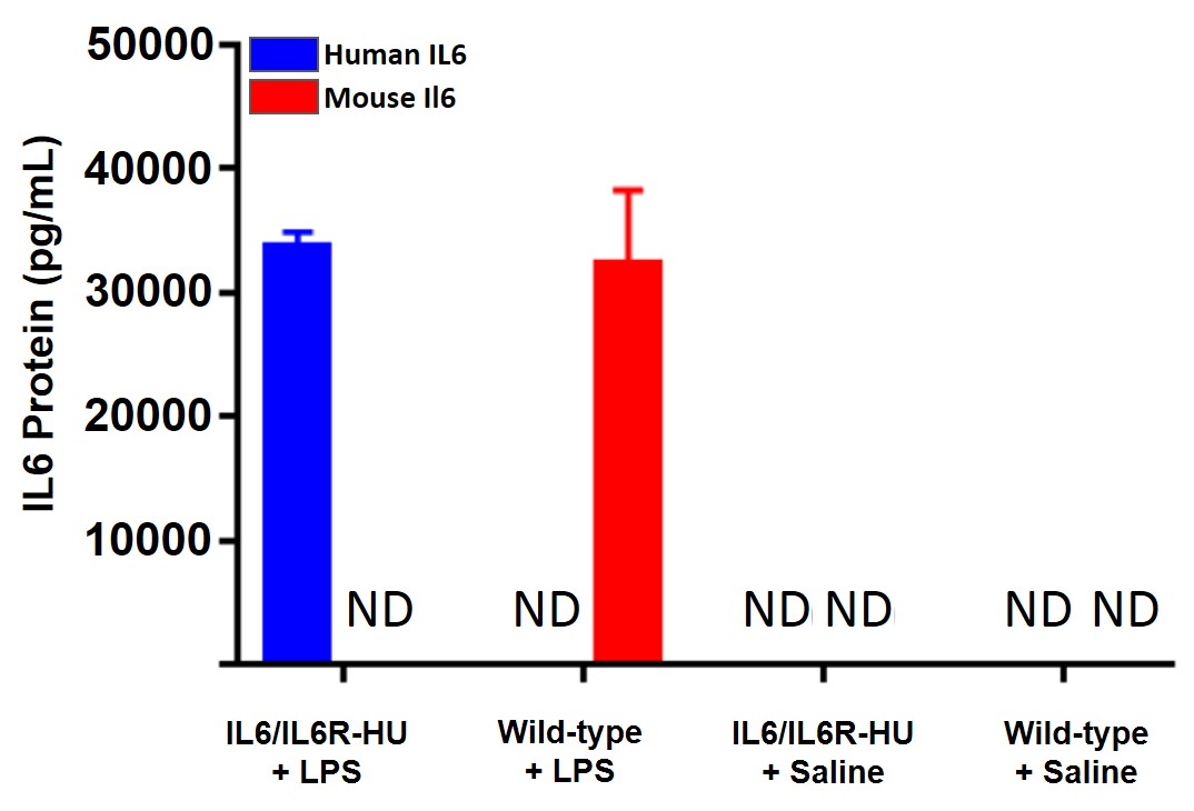 appnote-animalmodel-mouserepository-cytokine-2