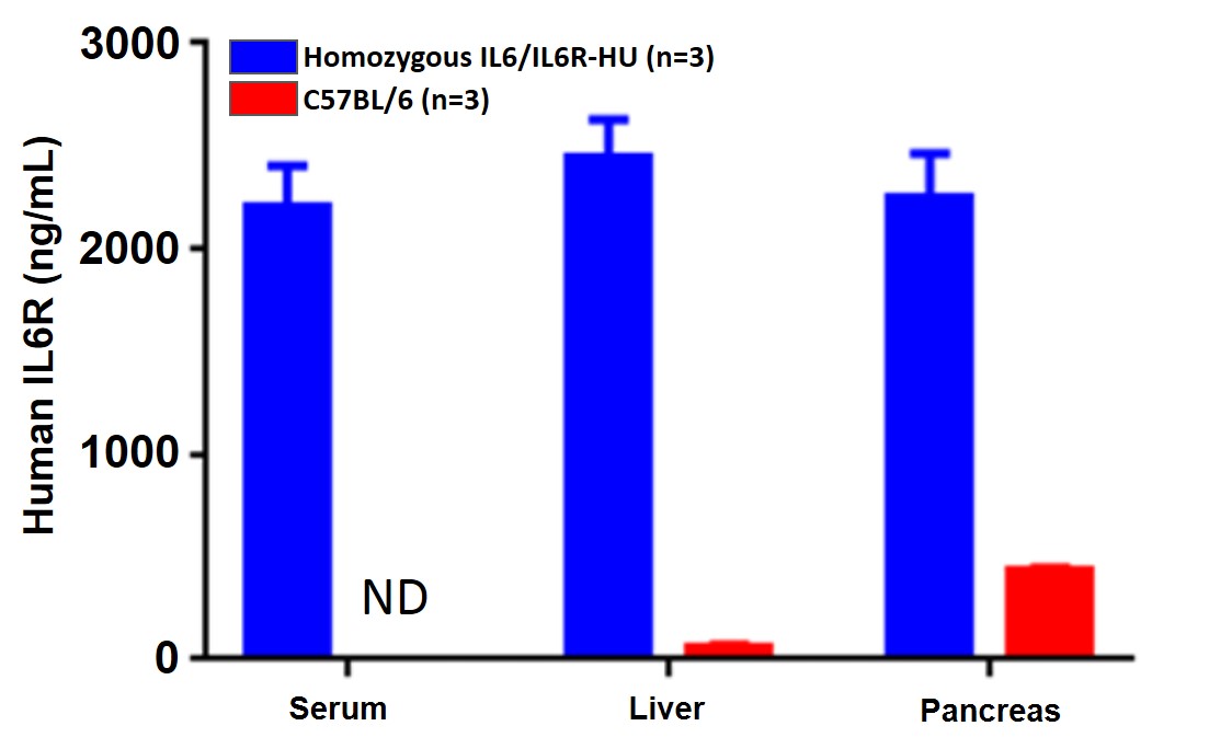 appnote-animalmodel-mouserepository-cytokine-3