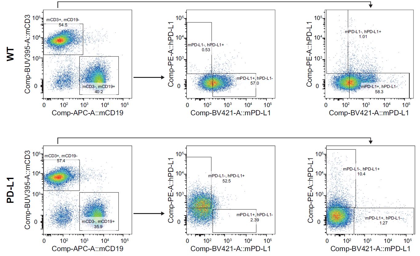 appnote-animalmodel-mouserepository-humanicp-pd-l1-2