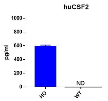 landingpage-ashu-190046-csf2-hu-icpmouse-1