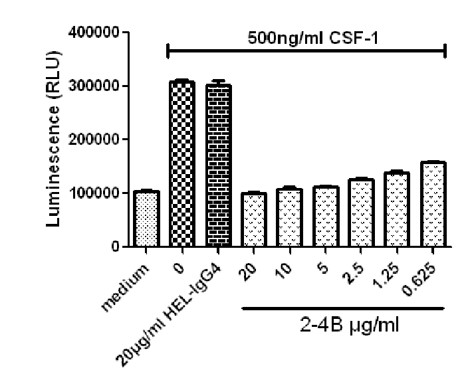 landingpage-ashu-190074-csf1r (2)-hu-icpmouse-5