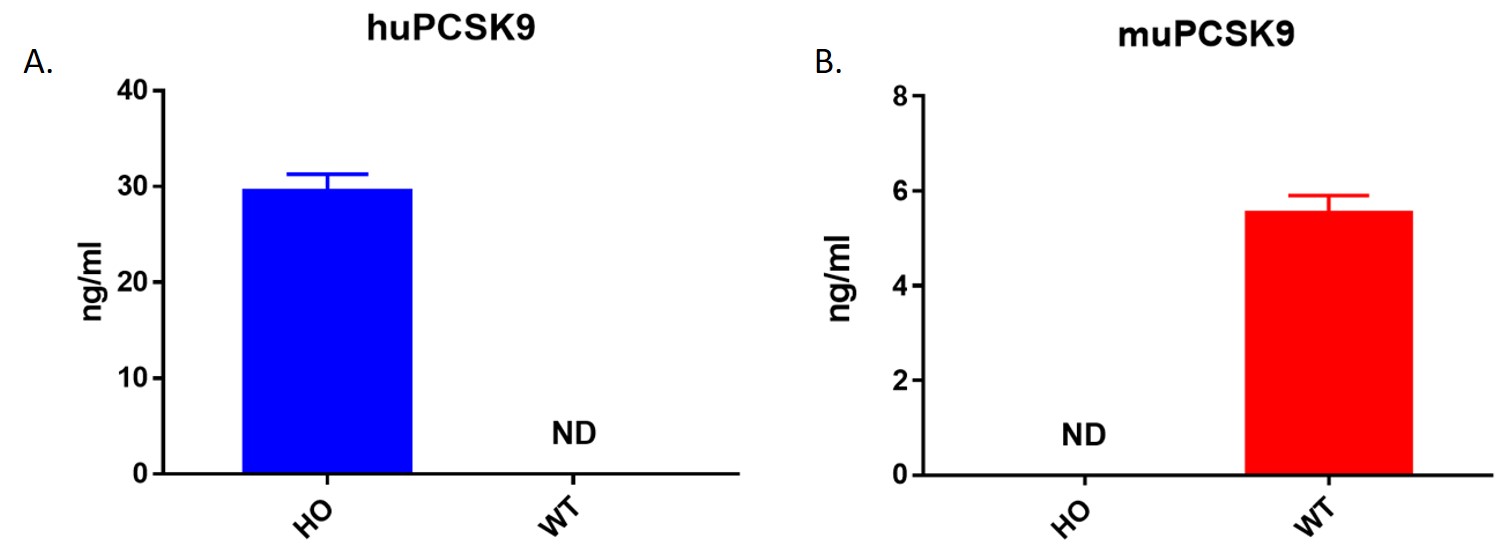 Landingpage-ASHU-00075-PCSK9-HU-ICPMouse-2
