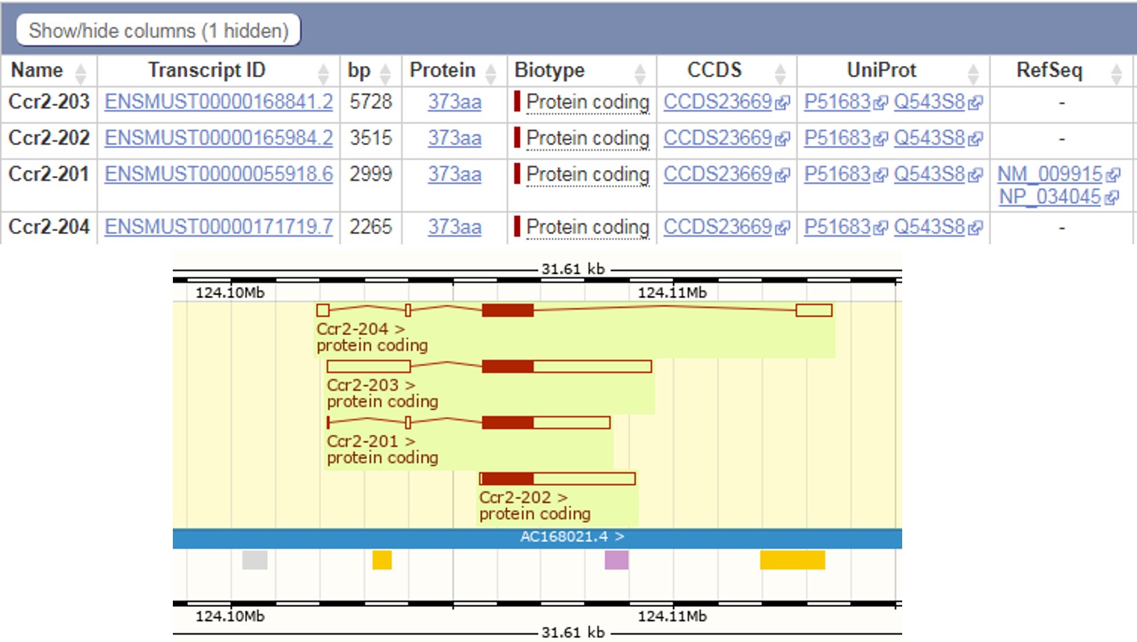 Landingpage-ASHU-18026-CCR2-HU-ICPMouse-2