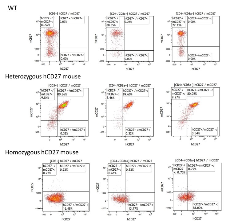 landingpage-ashu-190035-cd27-hu-icpmouse-2