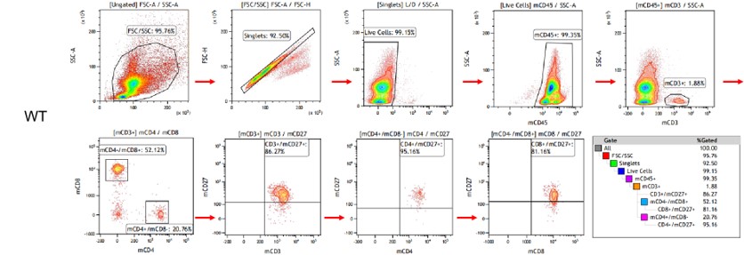 landingpage-ashu-190035-cd27-hu-icpmouse-3