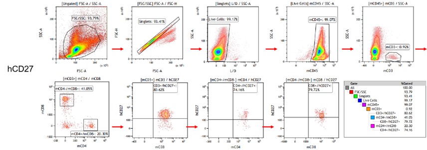 landingpage-ashu-190035-cd27-hu-icpmouse-4