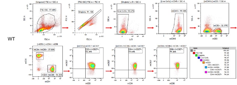 landingpage-ashu-190035-cd27-hu-icpmouse-5