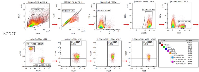 landingpage-ashu-190035-cd27-hu-icpmouse-6