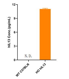 landingpage-ashu-190069-IL13-hu-icpmouse-2
