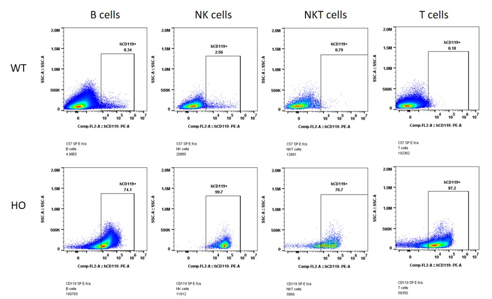 landingpage-ashu-190076-IFNGR1-hu-icpmouse-3